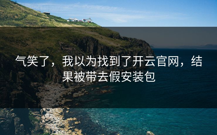 气笑了，我以为找到了开云官网，结果被带去假安装包