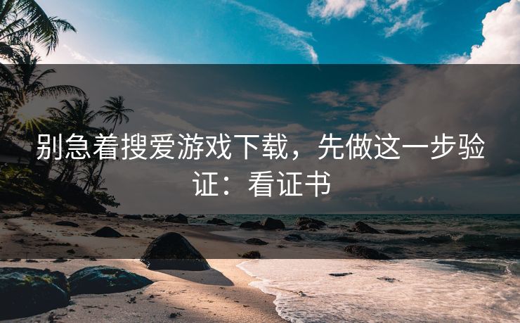 别急着搜爱游戏下载，先做这一步验证：看证书